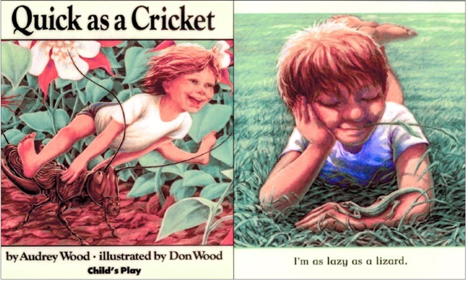 Quick as a Cricket book